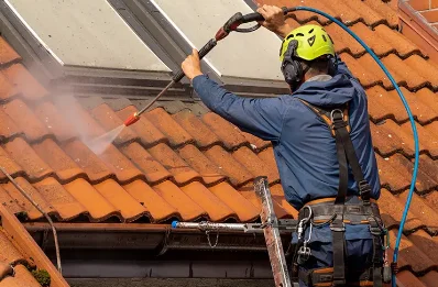 Démoussage et hydrofuge de toiture à Dangeul